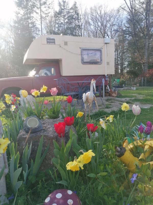 La Roulotte Des Trois Arbres Bed & Breakfast Oradour-sur-Glane Exterior photo